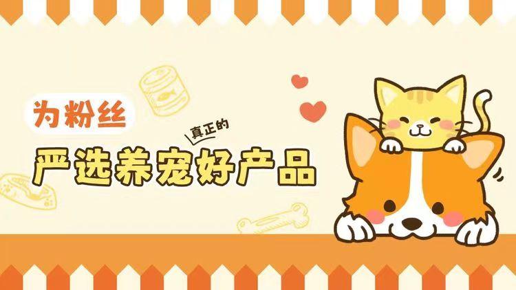 宠物店云连锁